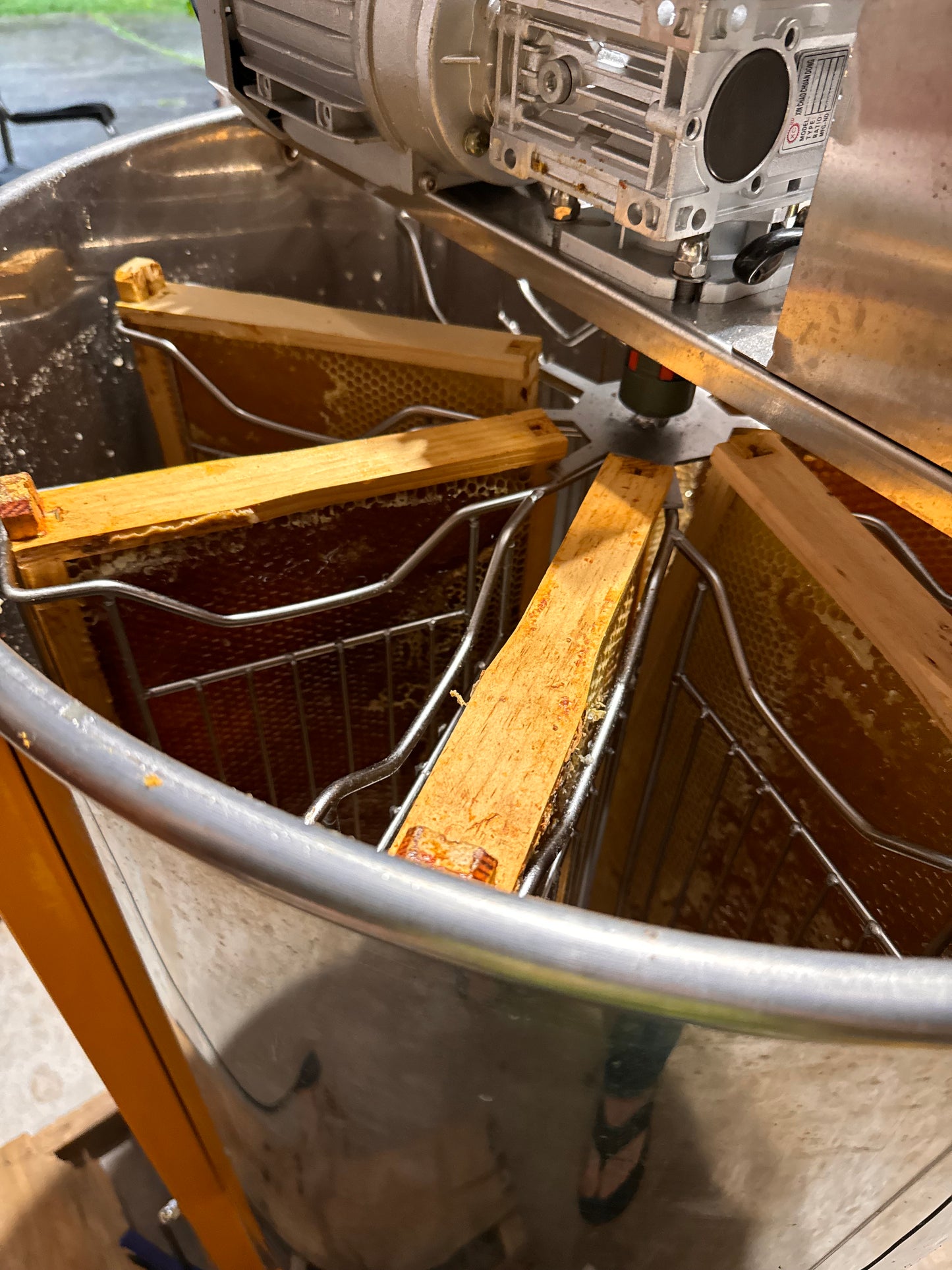 Smyrna Wildflower Honey Spring 2024 Vintage Release